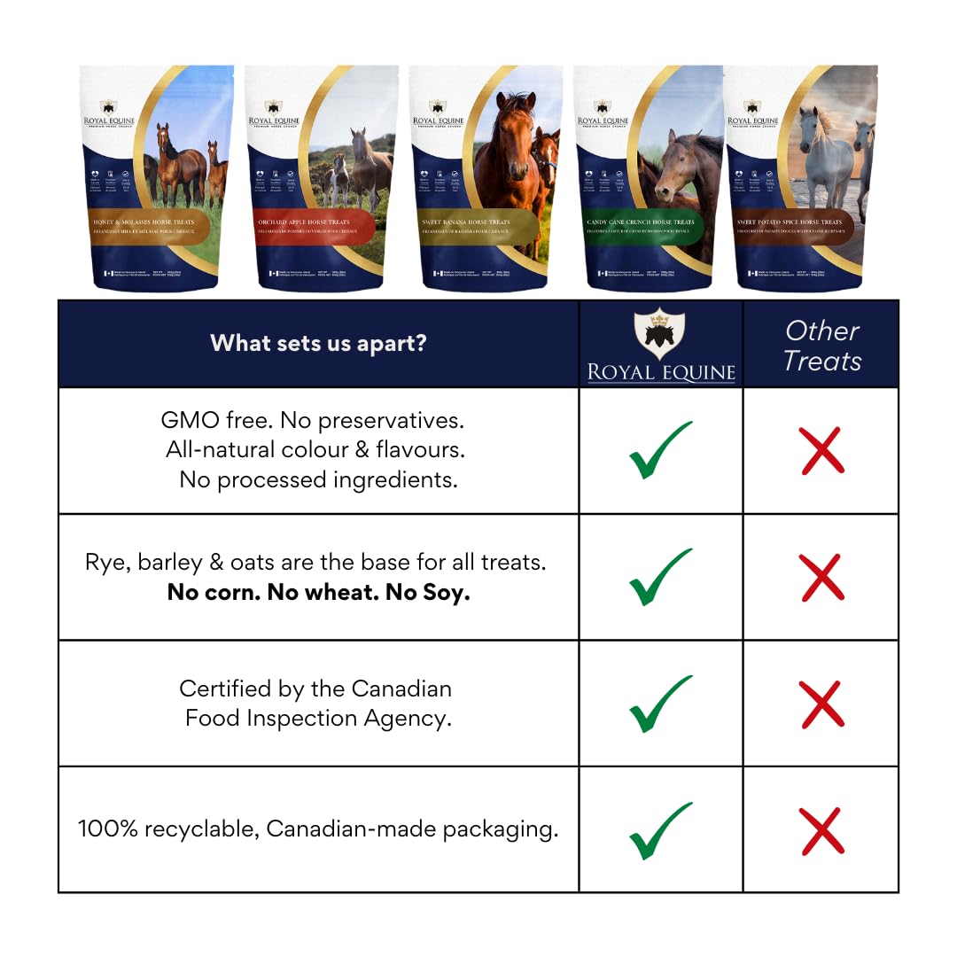 Premium Horse Crunch, Healthy Horse Treats - Canadian-Sourced, All-Natural Ingredients, Crunchy Baked Cubes. GMO-Free, No Preservatives, Rye, Barley, Oats Base. (Honey & Molasses) - 3