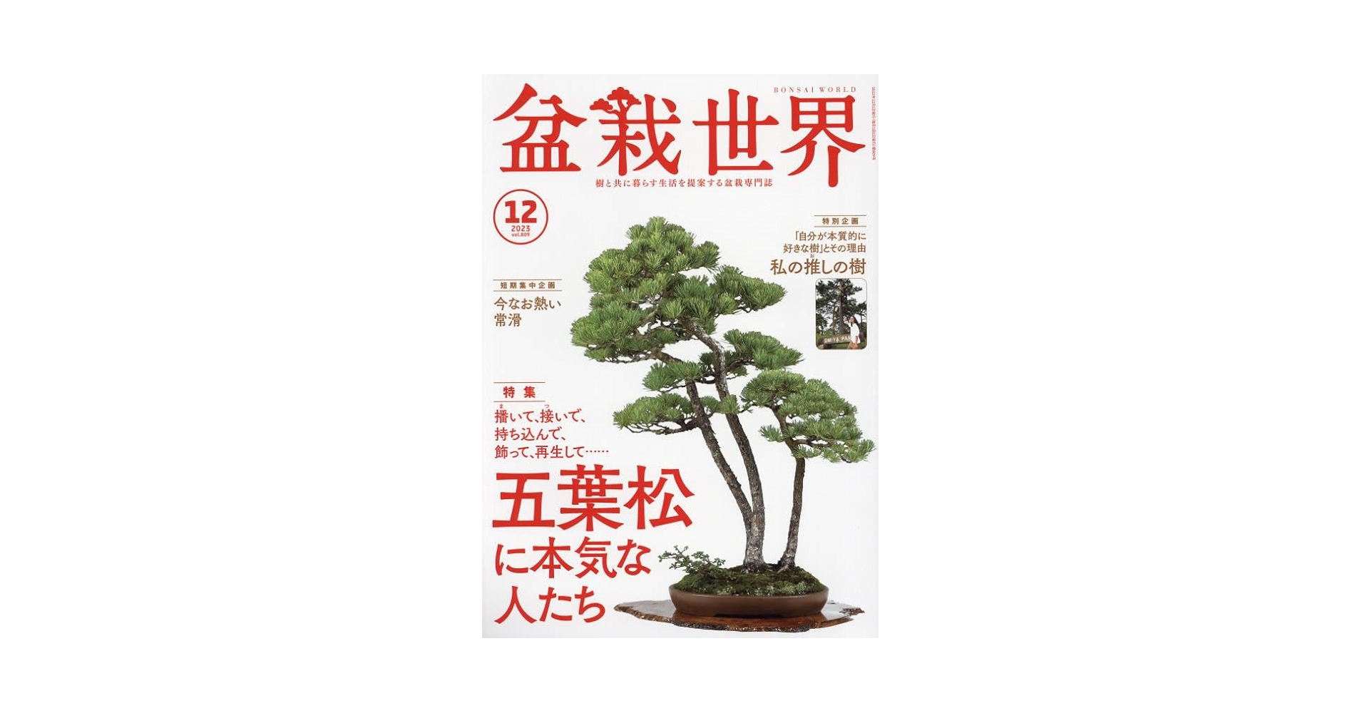 盆栽世界 2023年1月〜12月まとめ売り 盆栽世界 2023年1月〜12月まとめ売り