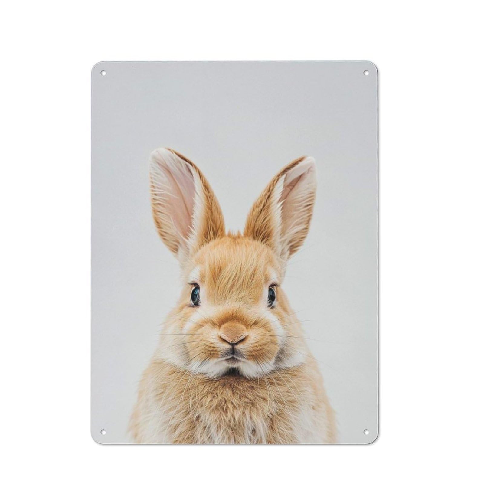 Junmoney Style-10 Tin Wall Plaque 40X30cm With Cute Baby Rabbit For Guest Room Or Hallway, For Garage, Workshop And Man Cave Decoration
