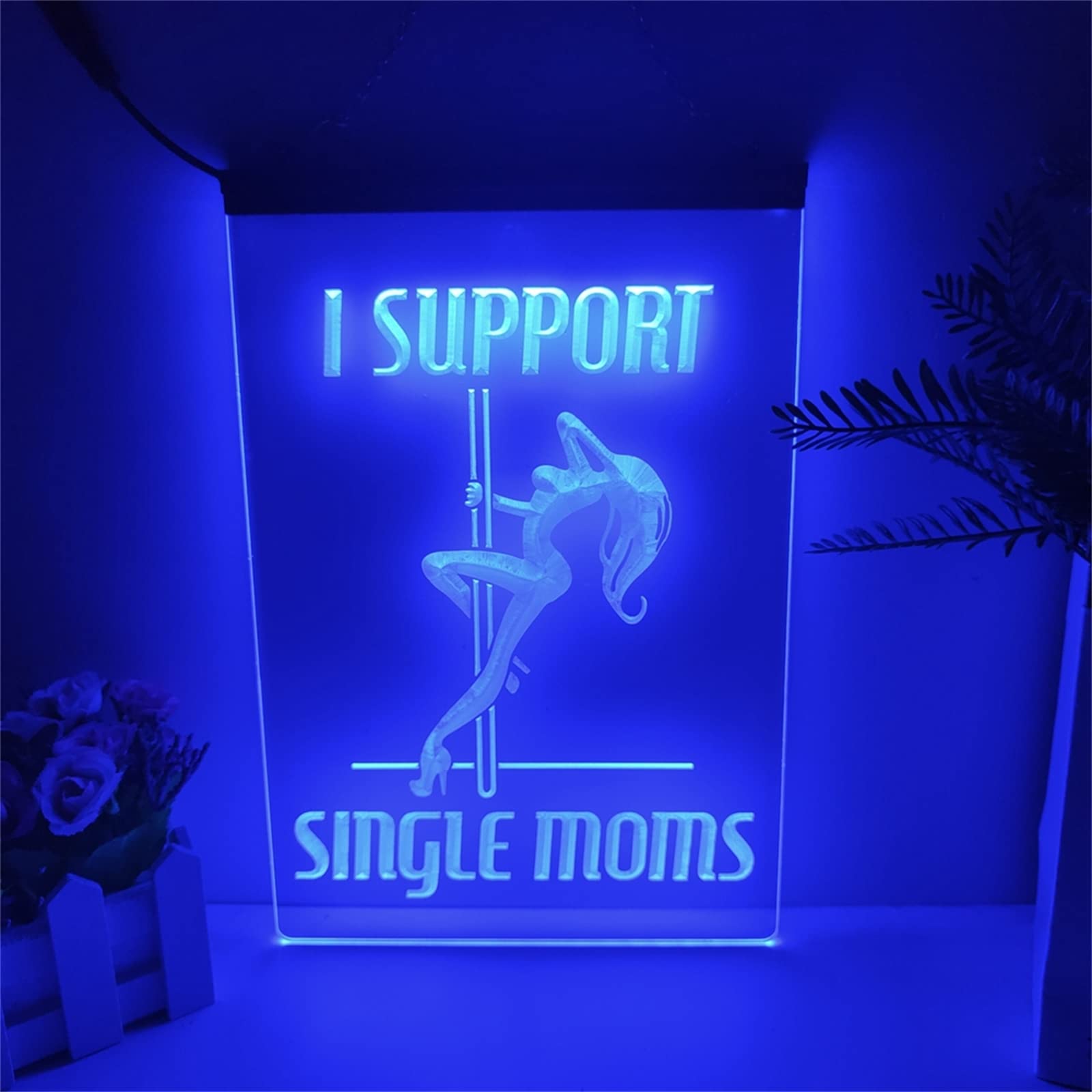 Amazon.co.jp: バーセクシーガール LED ネオンサイン、カスタム USB