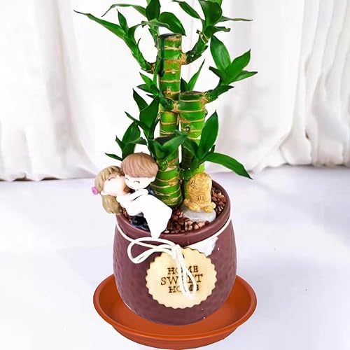 Miniatura 4 de Platillo para plantas de 12 pulgadas, paquete de 4 macetas grandes de plástico de 13 pulgadas (12.7 pulgadas) y bandeja de goteo para interiores y