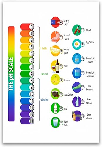 Miniatura 1 de FHJP0348 - Póster de escala de pH  Tabla de ejemplos de PH para aulas de ciencias  Póster brillante premium de 12 x 18 pulgadas  Para aulas