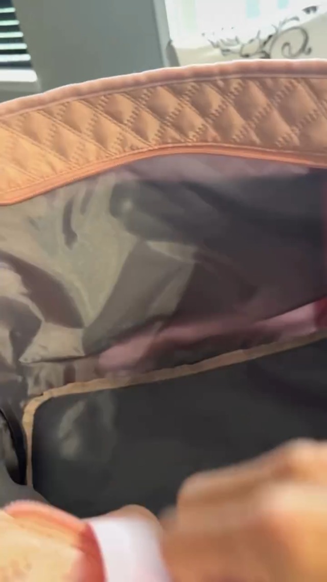 Borsa Trasportino Per Cani Di Piccola Taglia – Pawaboo, Con Tasca, Leggera 434 G, Chiusura Sicura, Per Viaggi Aerei, Sotto Le 11 Libbre (circa 5 Kg), Blu Marino