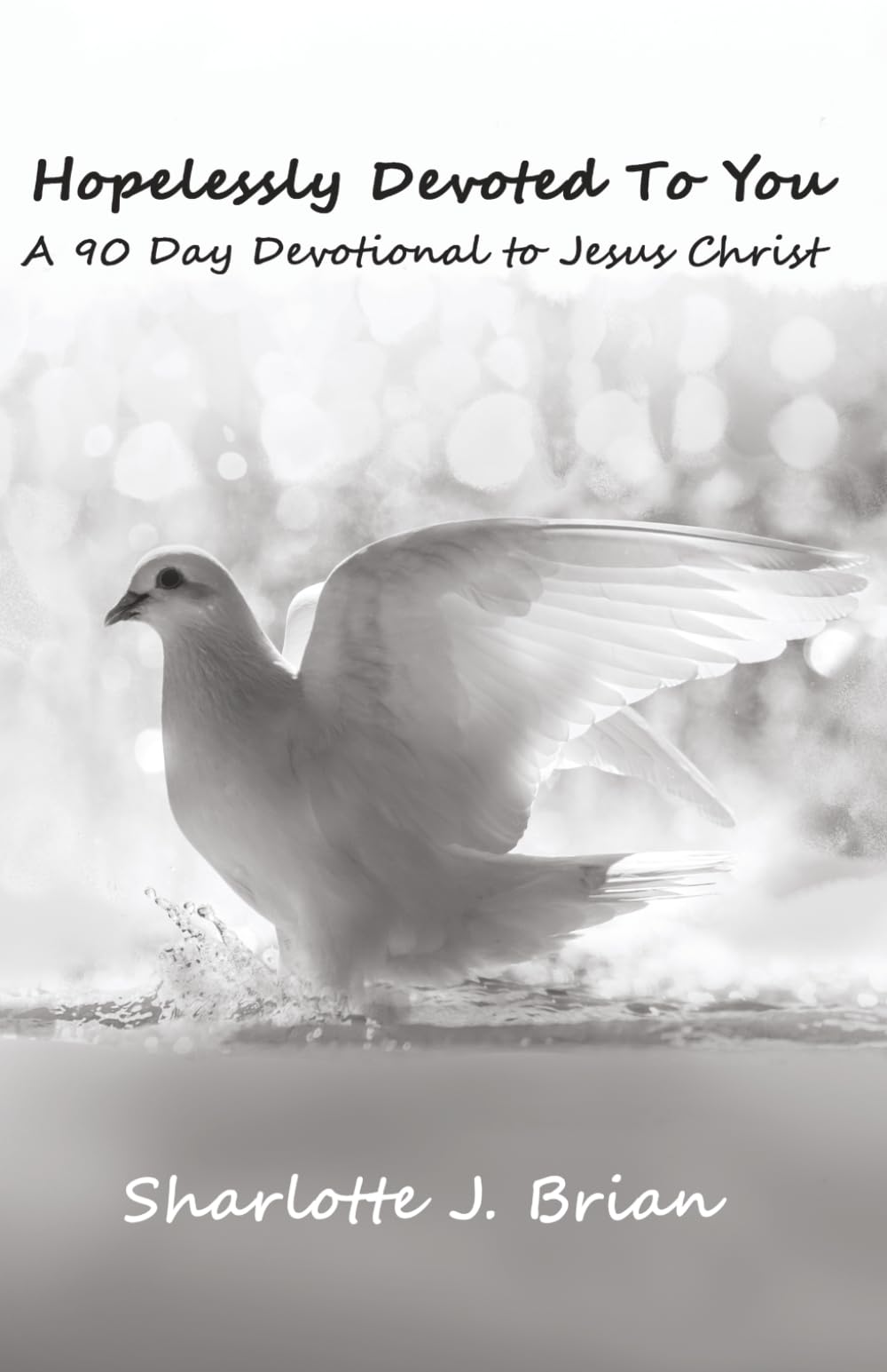 Hopelessly Devoted to You: A 90 Day Devotional to Jesus Christ