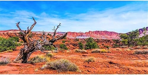 AWERT 48x24 pulgadas Reptil Hábitat Fondo Cielo Azul Oasis Naranja Desierto Terrario Fondo Poliéster