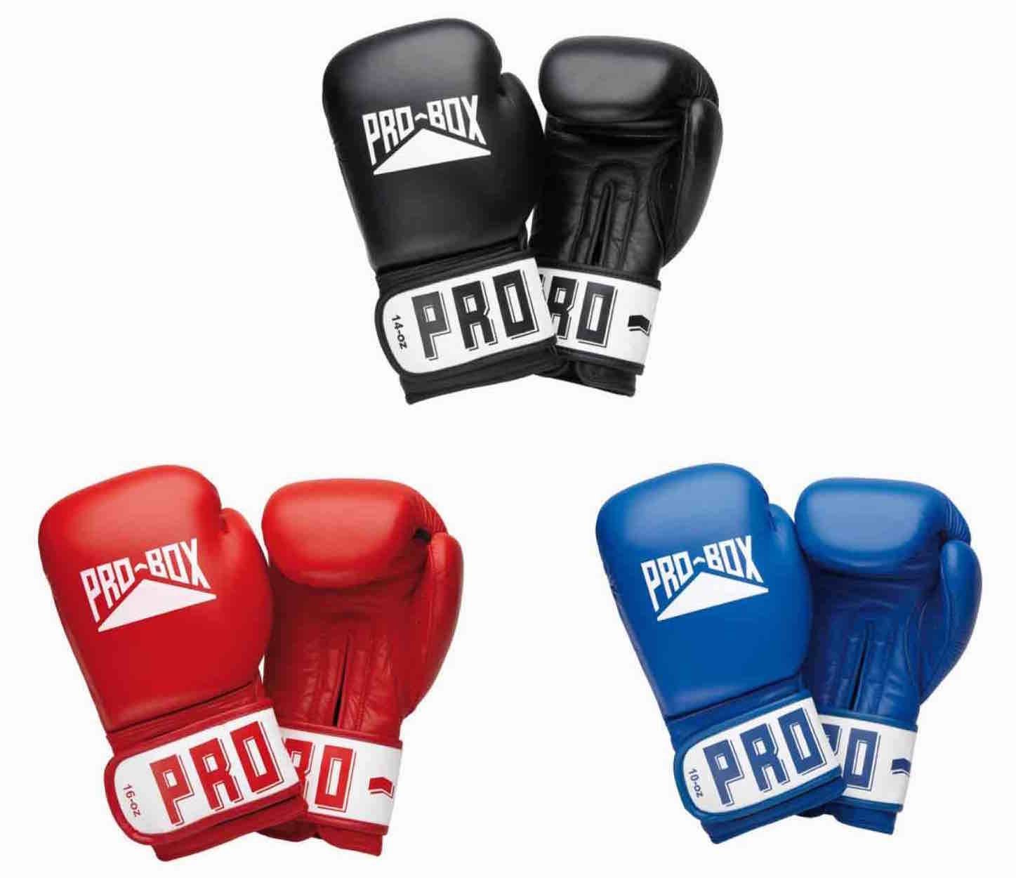Pro Box Leather Club Essentials Boxing Gloves - BLK - 16