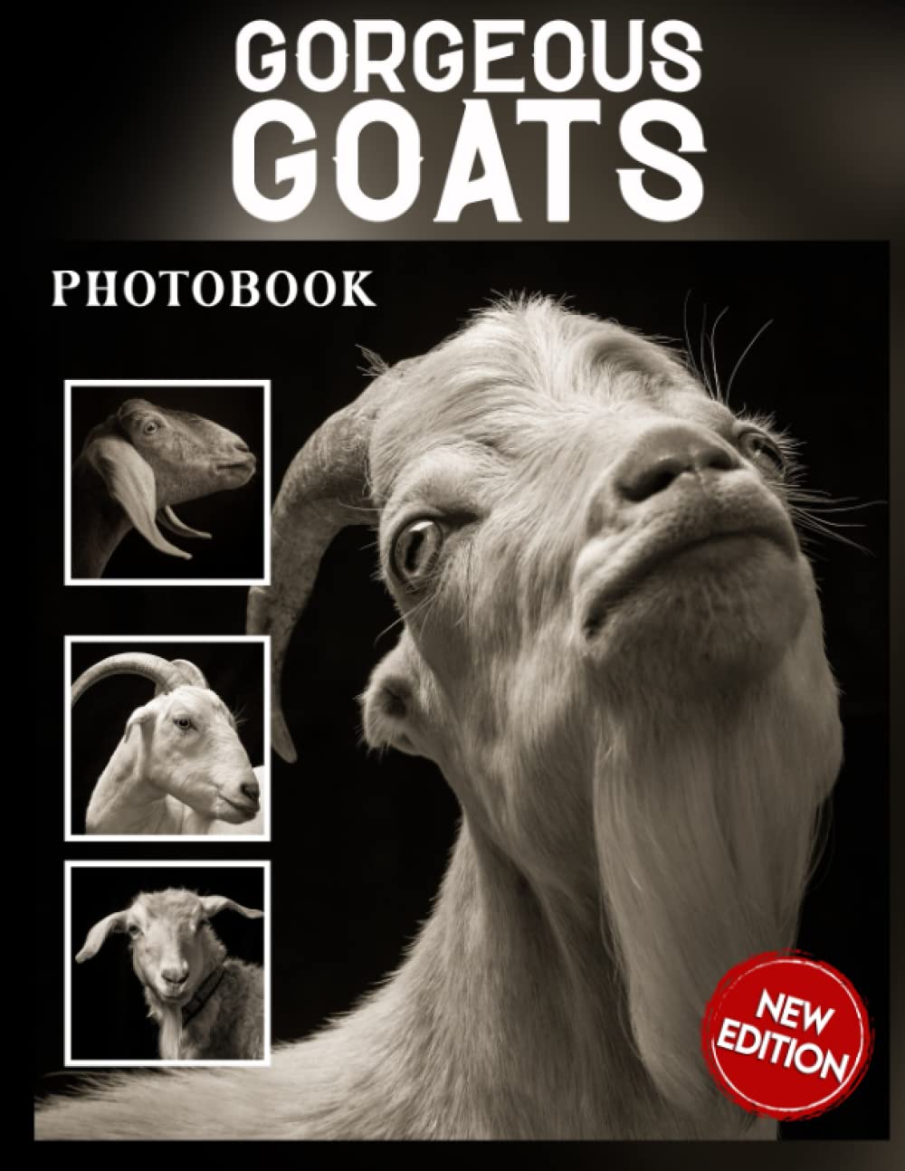 Photo Book Of Gorgeous goats: Gorgeous goats Picture Book For Photos With 30+ Pictures Photos, 2023 Photobook Photography Gifts For Men Women Mom Dad