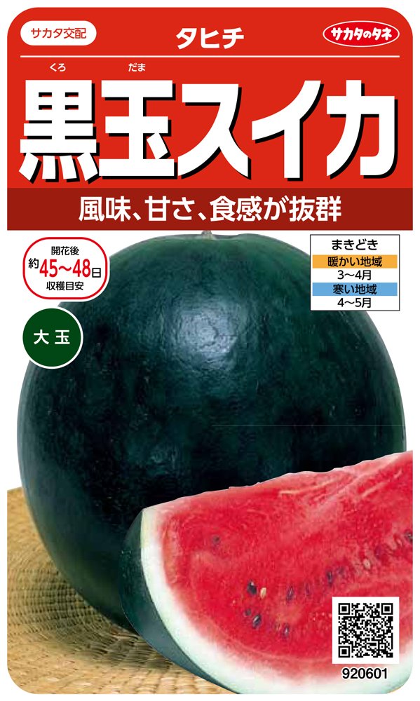 Amazon | サカタのタネ 実咲野菜0601 黒玉スイカ タヒチ