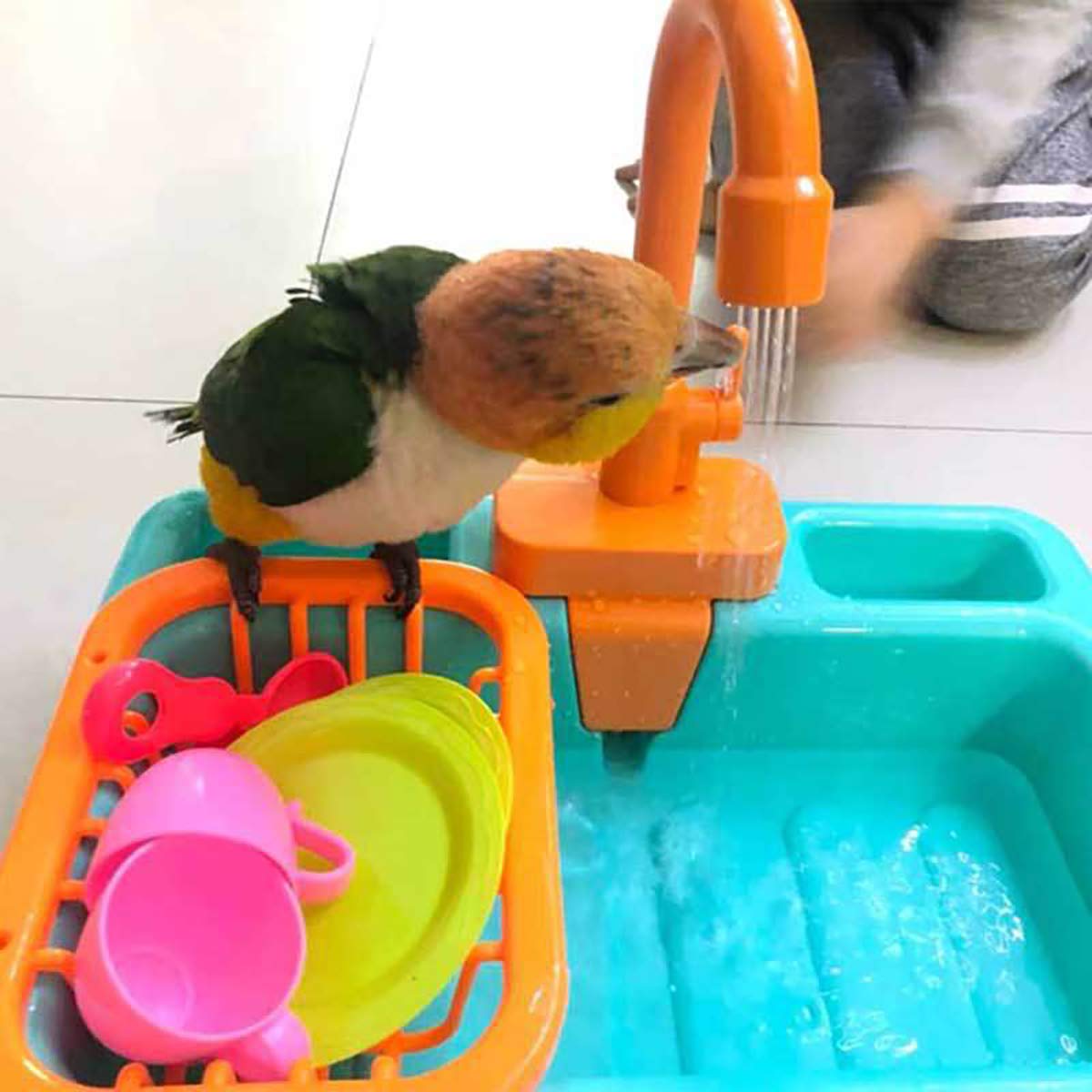 Gobabo Bird Bath Parrots Swimming Pool Bird Bath Bird Bowl Automatic
