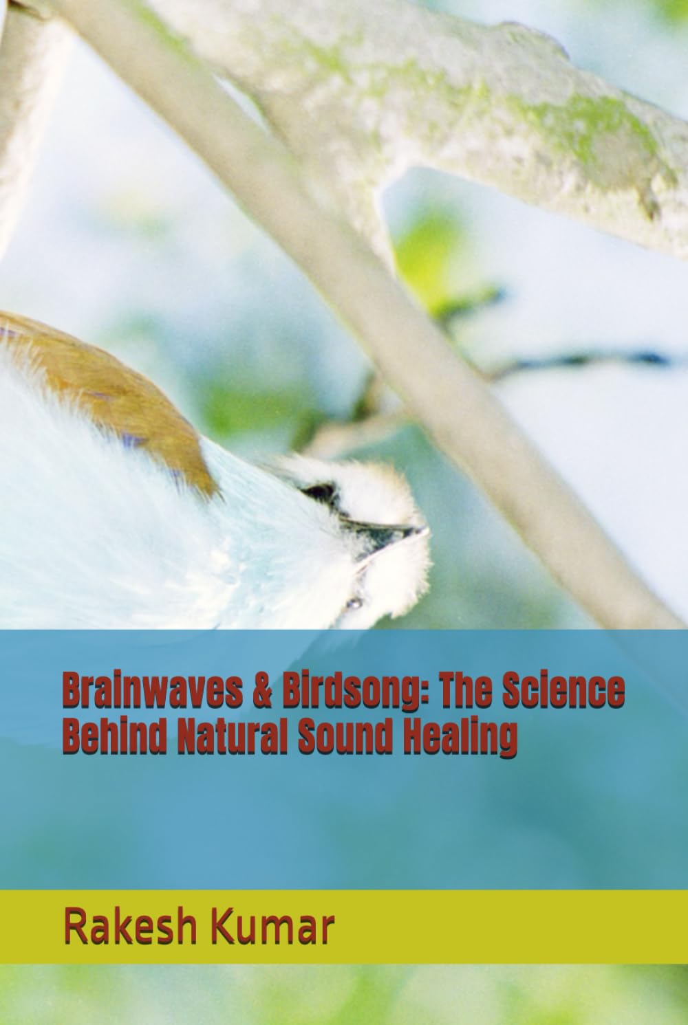 Brainwaves & Birdsong: The Science Behind Natural Sound Healing