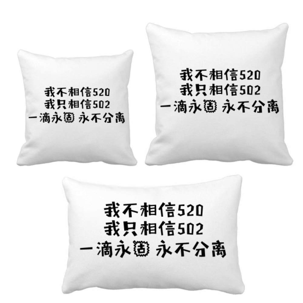 Housse de coussin I Don't Believe 520 idéale pour décorer un lit de chambre