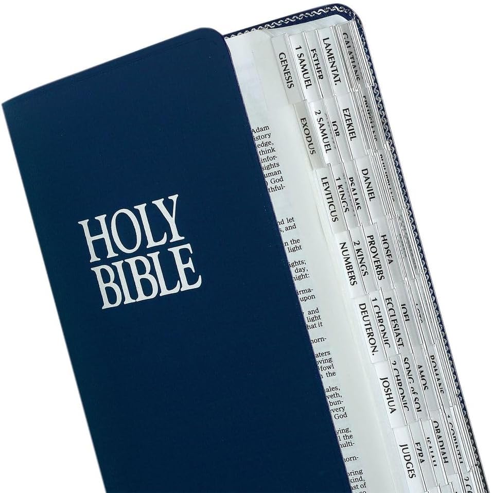 Tabbies Silver-Edged Bible Indexing Tabs, Old & New Testament, 80 Tabs Including 64 Books & 16 Reference Tabs (58339), Silver-Edge (80 Tabs), Pack of 1