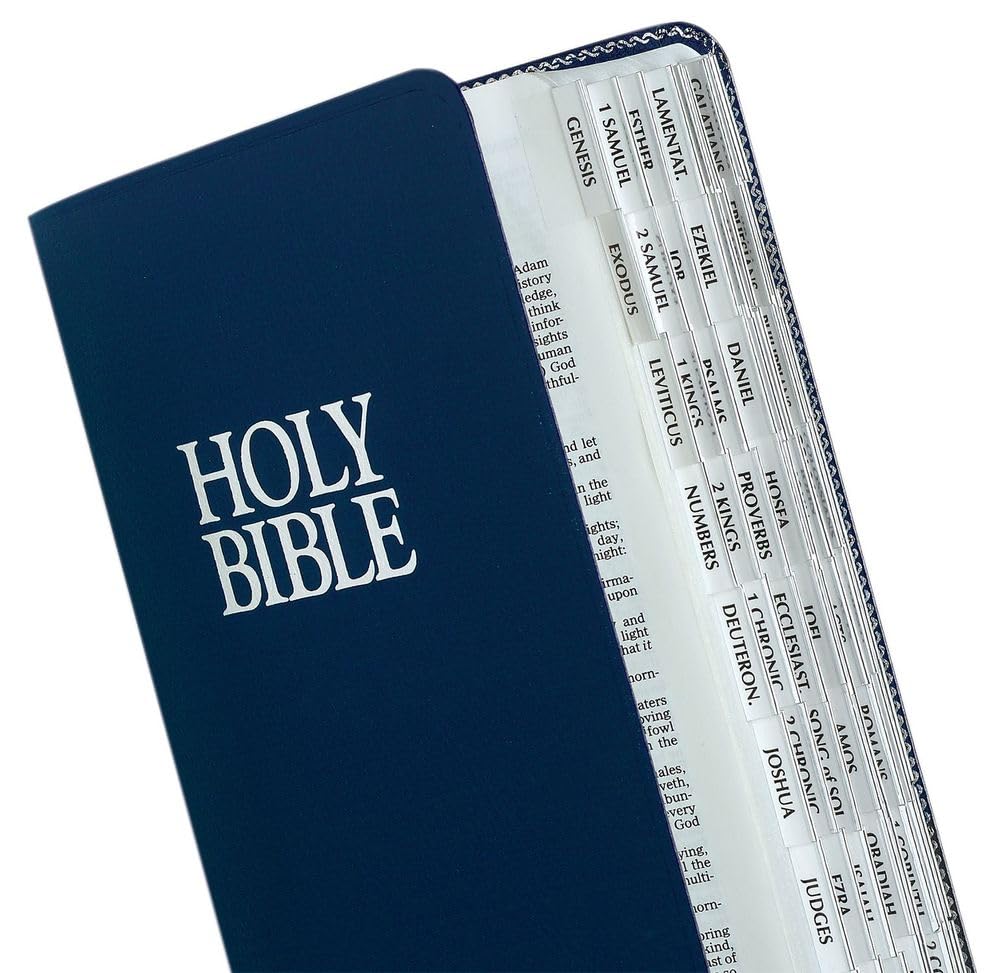 Tabbies Silver Edged Bible Indexing Tabs, Old & New Testament, 80 Tabs Including 64 Books & 16 Reference Tabs (58339), Silver Border (80 Tabs)