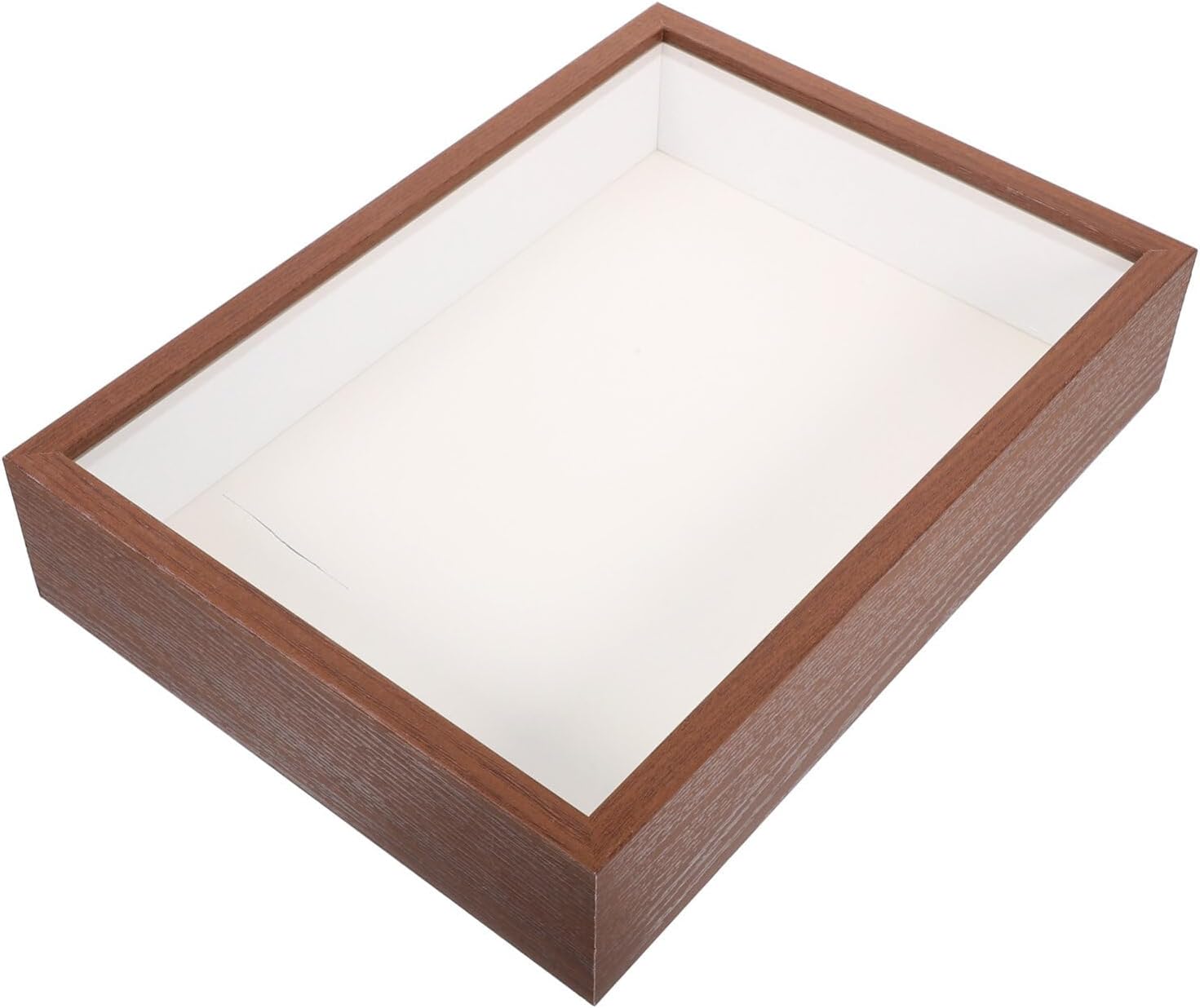 Alipis Wooden Dried Flower Display Frame Decorative Desktop Specimen Holder for Sturdy for Home Office Restaurant and Hotel Decor