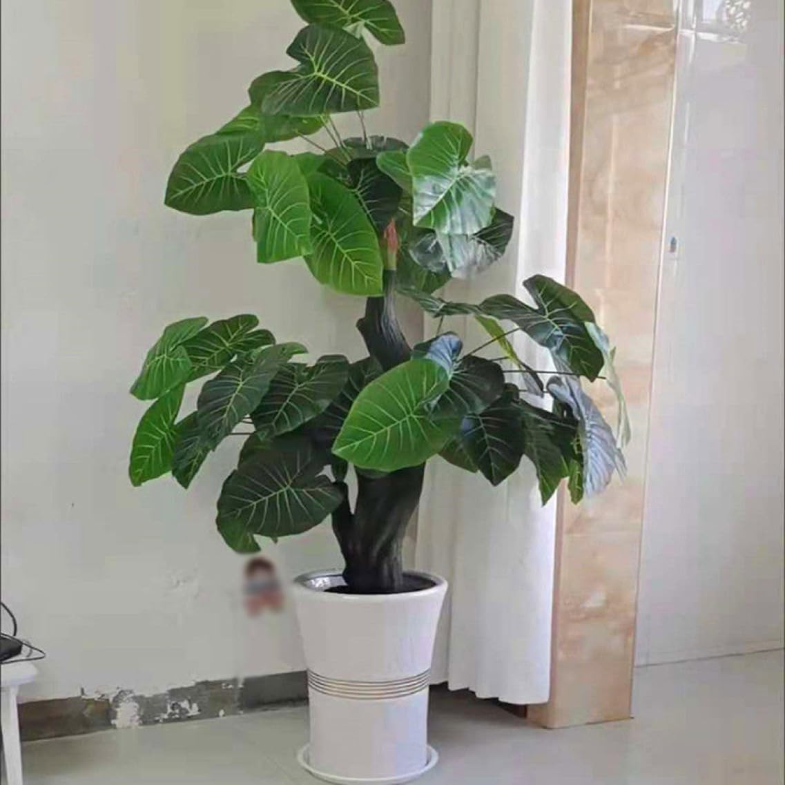 Amazon.co.jp: 陶器植木鉢 大 大型プランター 大型植木鉢 排水できる