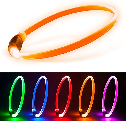 Miniatura 1 de Vizpet - Collares para perros pequeños, collar ajustable con luz LED, recargable por USB, collar de seguridad brillante para gatos y perros (naranja)