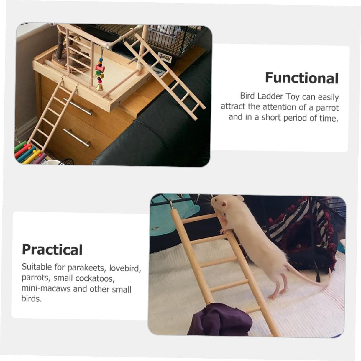 BESTonZON Set 6 Pezzi Scala per Uccelli in Legno Khaki per Pappagalli e Parrocchetti, Giocattolo da Arrampicata per Gabbia, Facile da Installare, Migliora L'equilibrio