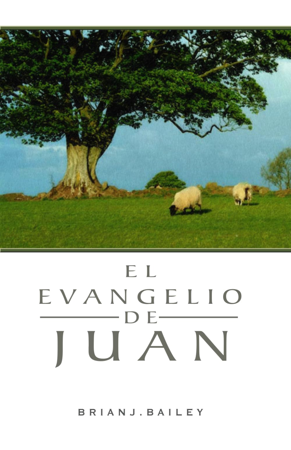 El evangelio de Juan