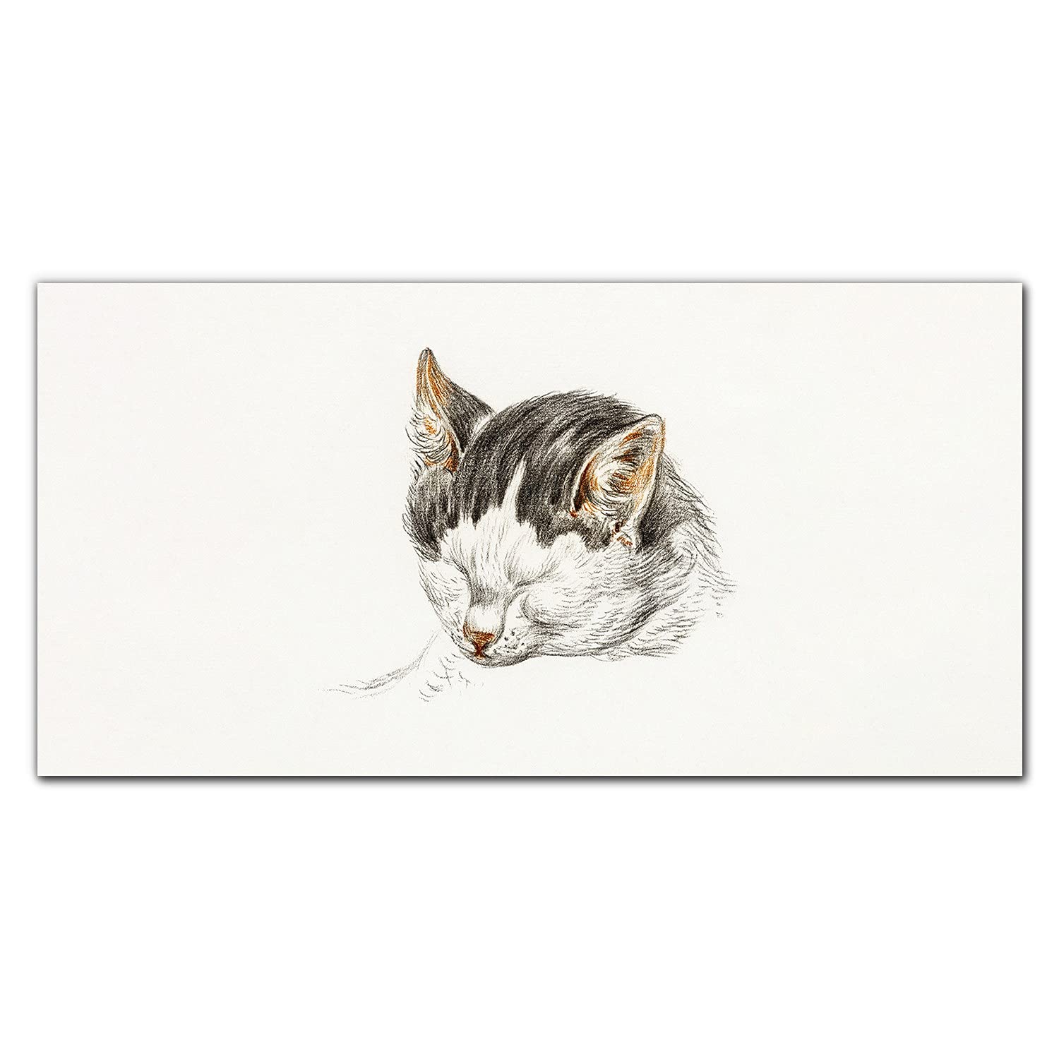 Protection de cuisine chat pour un espace chaleureux et propre