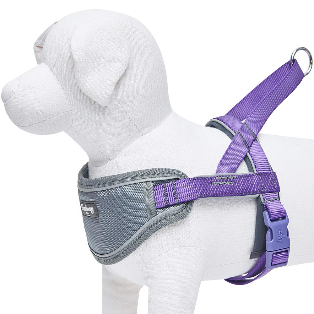 Blueberry Pet Comfy 3M Harnais rembourré avec bandes réfléchissantes pour chien, tour de poitrine 42 cm-54 cm, violet, taille S, harnais de dressage réglable en nylon pour chiens