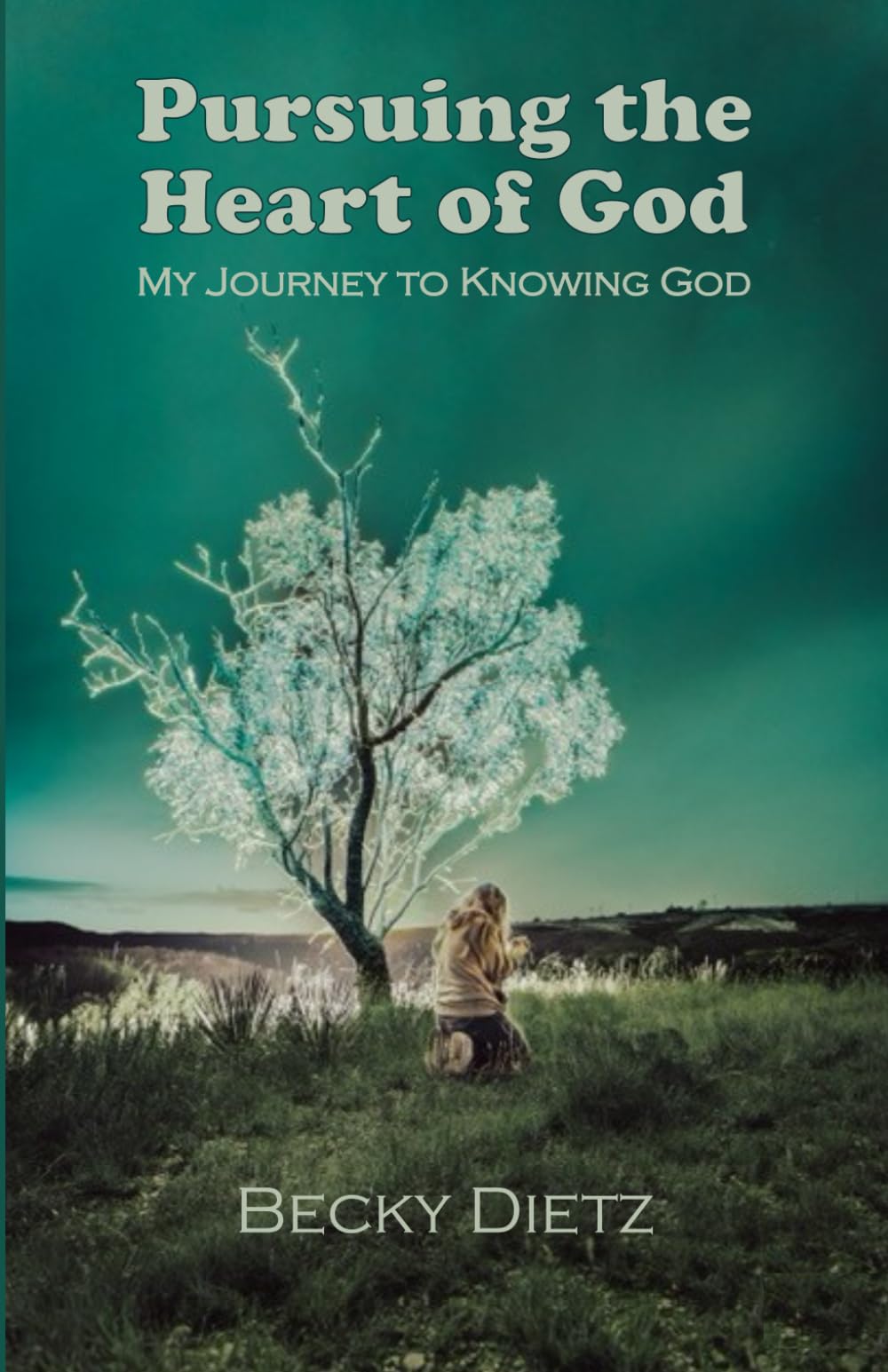 Pursuing The Heart of God: My Journey to Knowing God