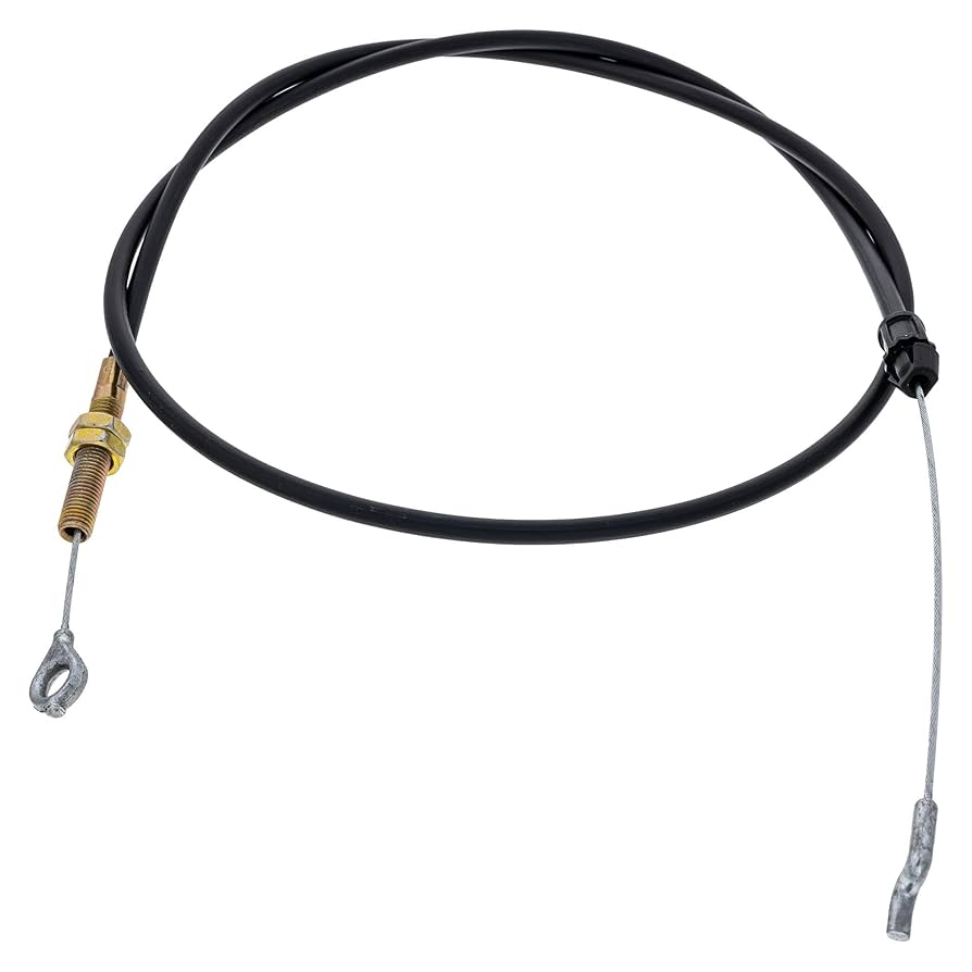 ari Mitochondrial Properties in Skeletal Muscle Fiber