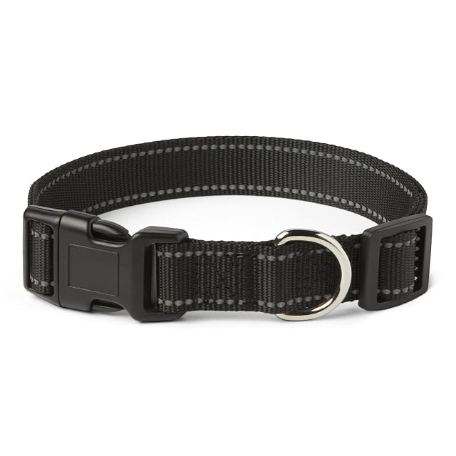 Amazon Basics Collar de Poliéster para Perros, L