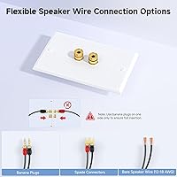 Vista 3 de Cable Matters Paquete de 2 placas de pared de alambre para altavoz, placa de pared de altavoz chapada en oro con poste de encuadernación de enchufe