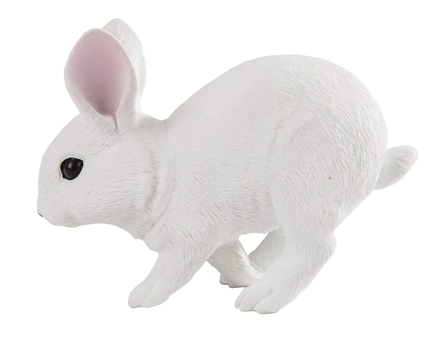 Safari Ltd. Incredible Creatures® 266629 White Rabbit : Amazon.com