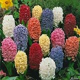 Garten Schlüter