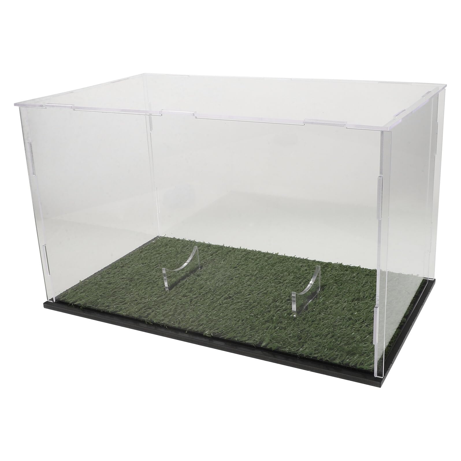 Boîte de rangement pour rugby transparente : sublimez votre ballon souvenir au salon