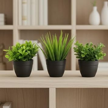 Üçlü Mini Yapay Sukulent Seti – 8 cm Saksı, Dekoratif Küçük Bitki Seti, Gerçekçi Görünüm, Salon Ofis Ev Masa Üstü Süs Bitkisi, Bakım Gerektirmez, Modern Dekor (SİYAH)