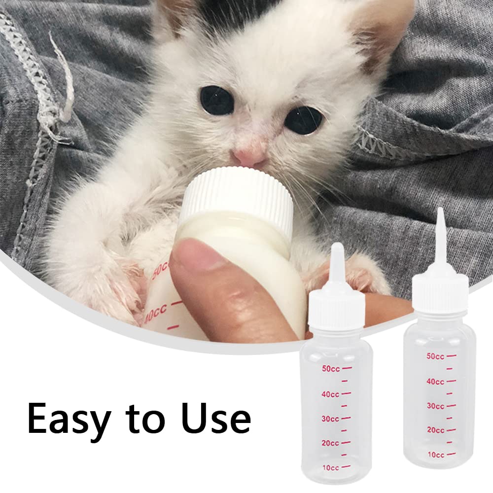 Bottle Feeding Can You Feed Baby Kittens Regular Milk Everything