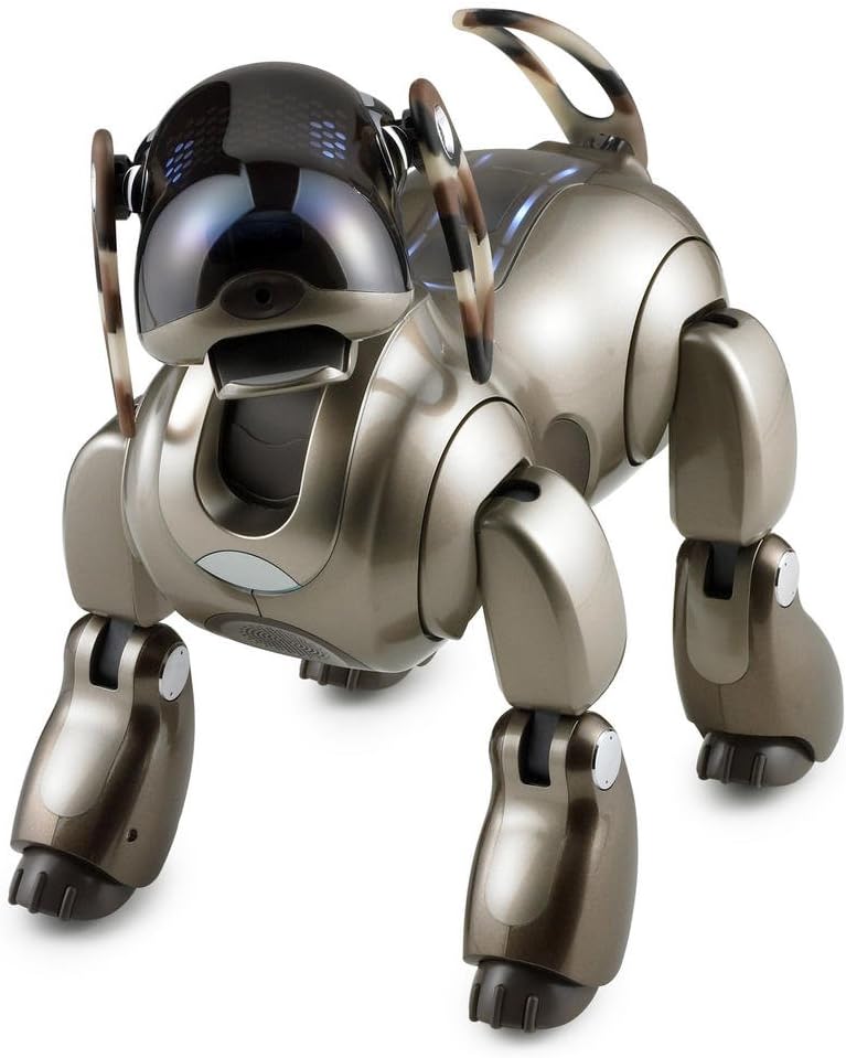 AIロボットはどこまで進歩するのか?購入する際のポイントとお勧めのAIロボット