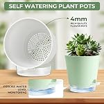 6 Pack Plant Pots with Clear Reservoirs 7/6.5/6/5.5/5/4 inch Plastic Flower Pots with 3 Planting Tools Self Watering Pots Visible Water Level Rope and Drainage Holes for Indoor Outdoor (White)