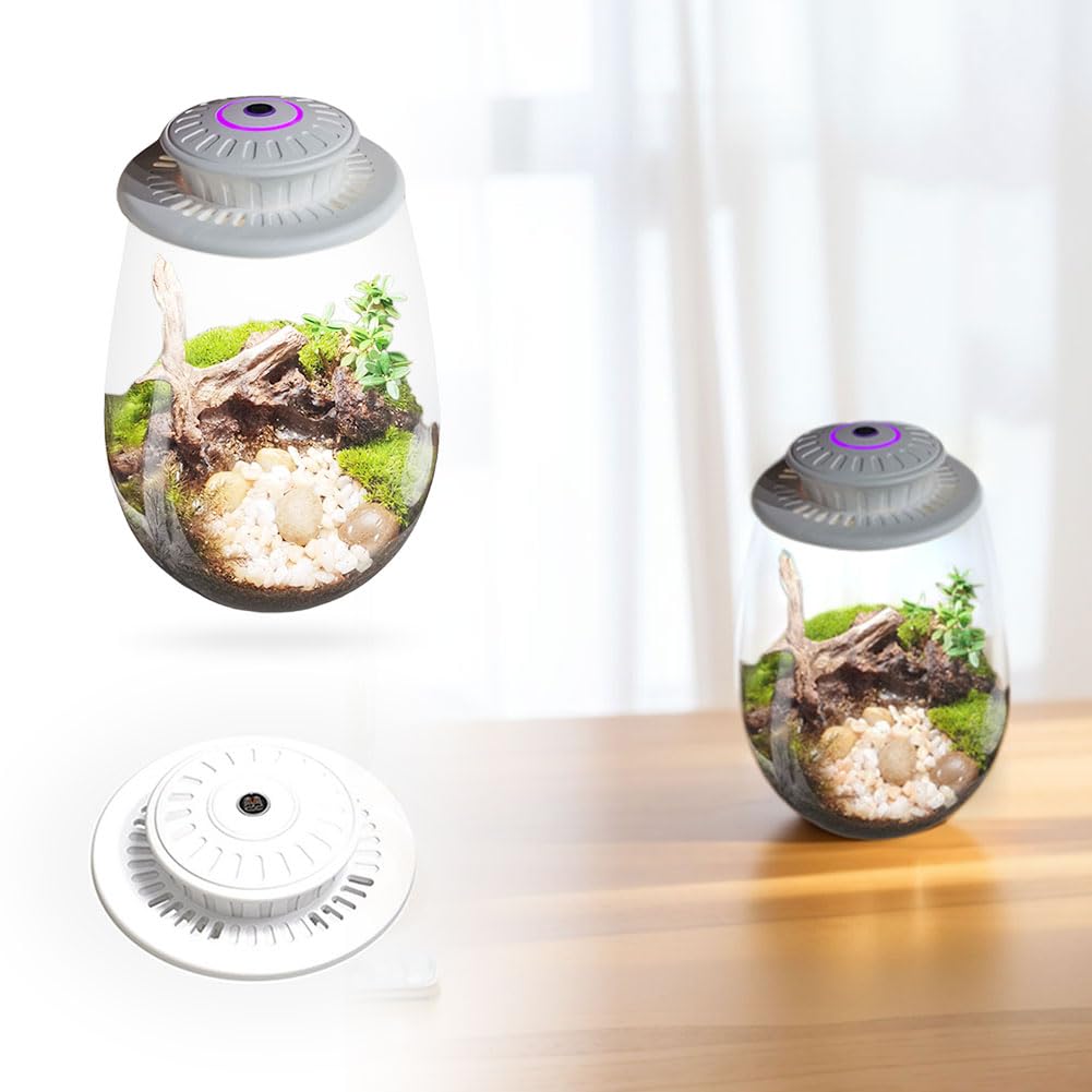 Fiorky LED Grow Light, Fern Moss Micro-Landscape Plant Growth Lamp, 6500K Glass, White, Indoor Plant Grow Light