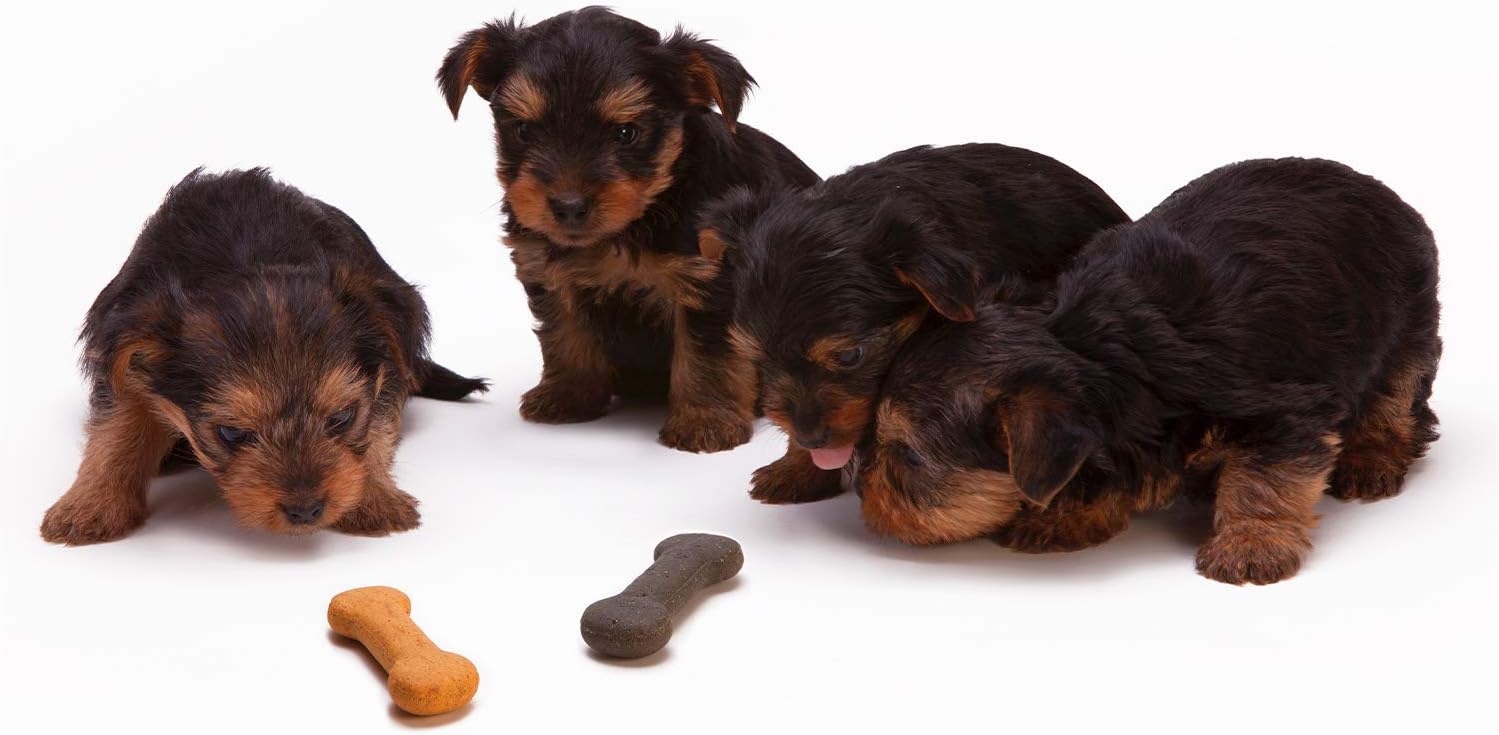 50% оƒƒ Dіѕсоunt Julius Studio 9 x 13 Ft. Photo Studio Chromakey Background Muslin Backdrop Bundle Kit, Black, White, Green Premium Quality Fabric Material, Wrinkle Resistant, Photo Video Studio, PROMO05_AM1 Bеѕt Dеаl 🛒 Julius Studio 9 x 13 Ft. Photo Studio Chromakey Background Muslin Backdrop Bundle Kit, Black, White, Green Premium Quality Fabric Material, Wrinkle Resistant, Photo Video Studio, PROMO05_AM1