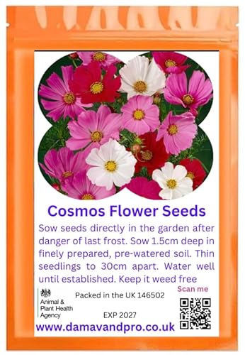 Cosmos Sensation Mixed Pink, red, White - Annual Garden Flower 150 Seeds Gift