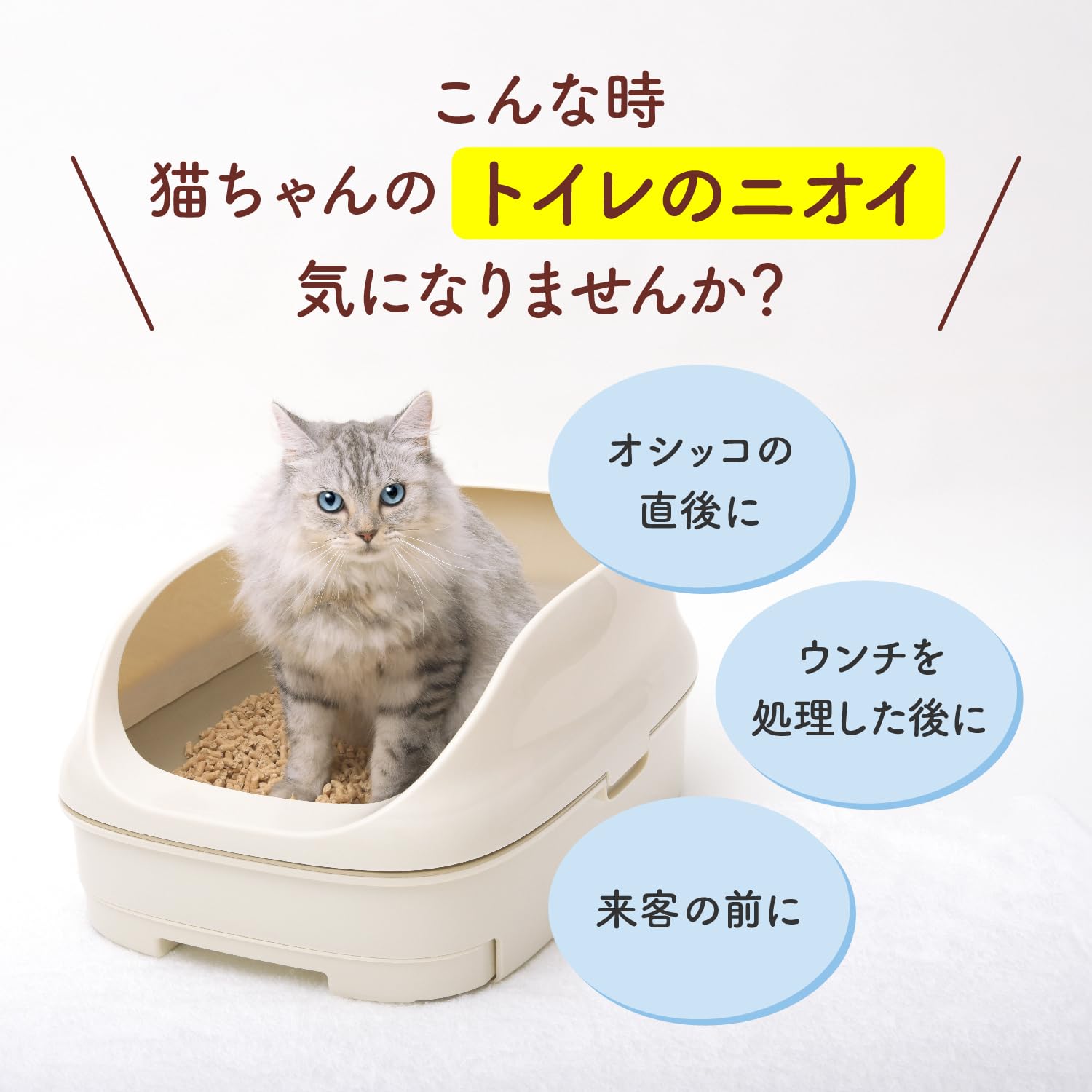 Amazon.co.jp: ニャンとも清潔トイレ 消臭プロフェッショナル スプレー
