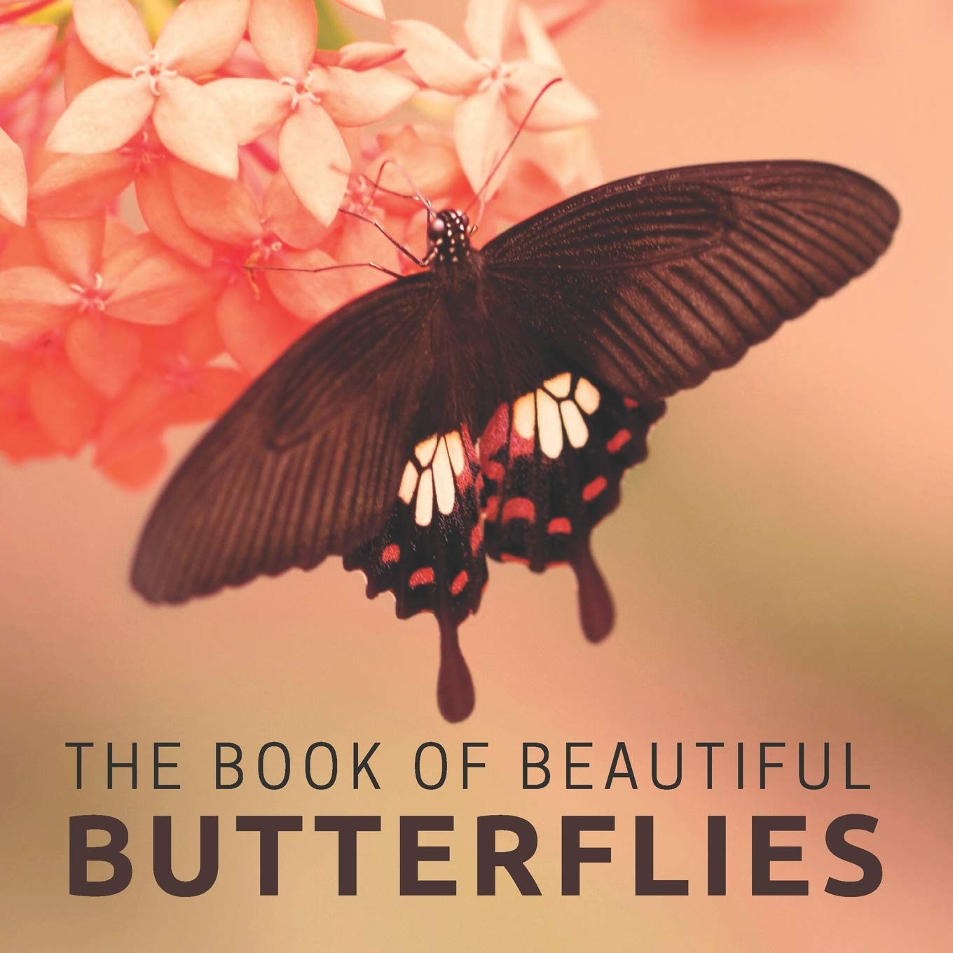 The Book Of Beautiful Butterflies: Picture Book For Seniors With Dementia (Alzheimer's): 1 (Picture & Activity Books For Seniors Series)