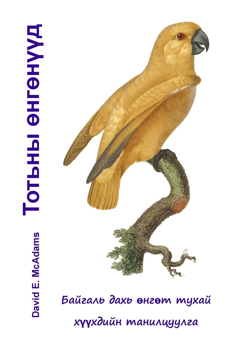 Тотьны өнгөнүүд: Байгаль дахь өнгөт тухай хүүхдийн танилцуулга