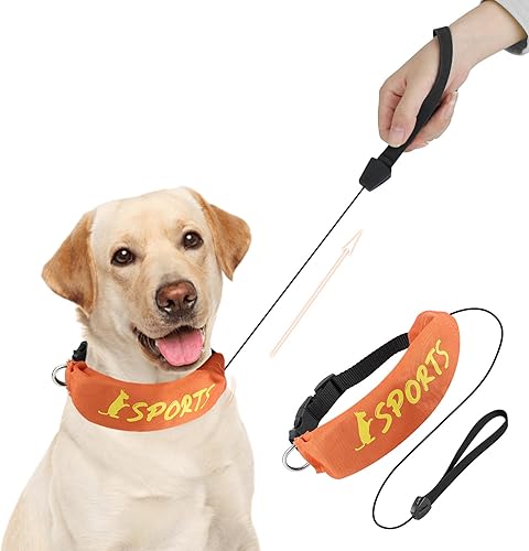 Lesypet Collar de correa retráctil 2 en 1 para perro, manos libres, con correa retráctil para perros de raza mediana y grande al aire libre,
