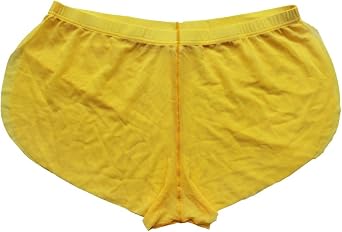 CHICTRY Mens Mesh Breathable Underwear See Through Boxer Briefs Lingerie