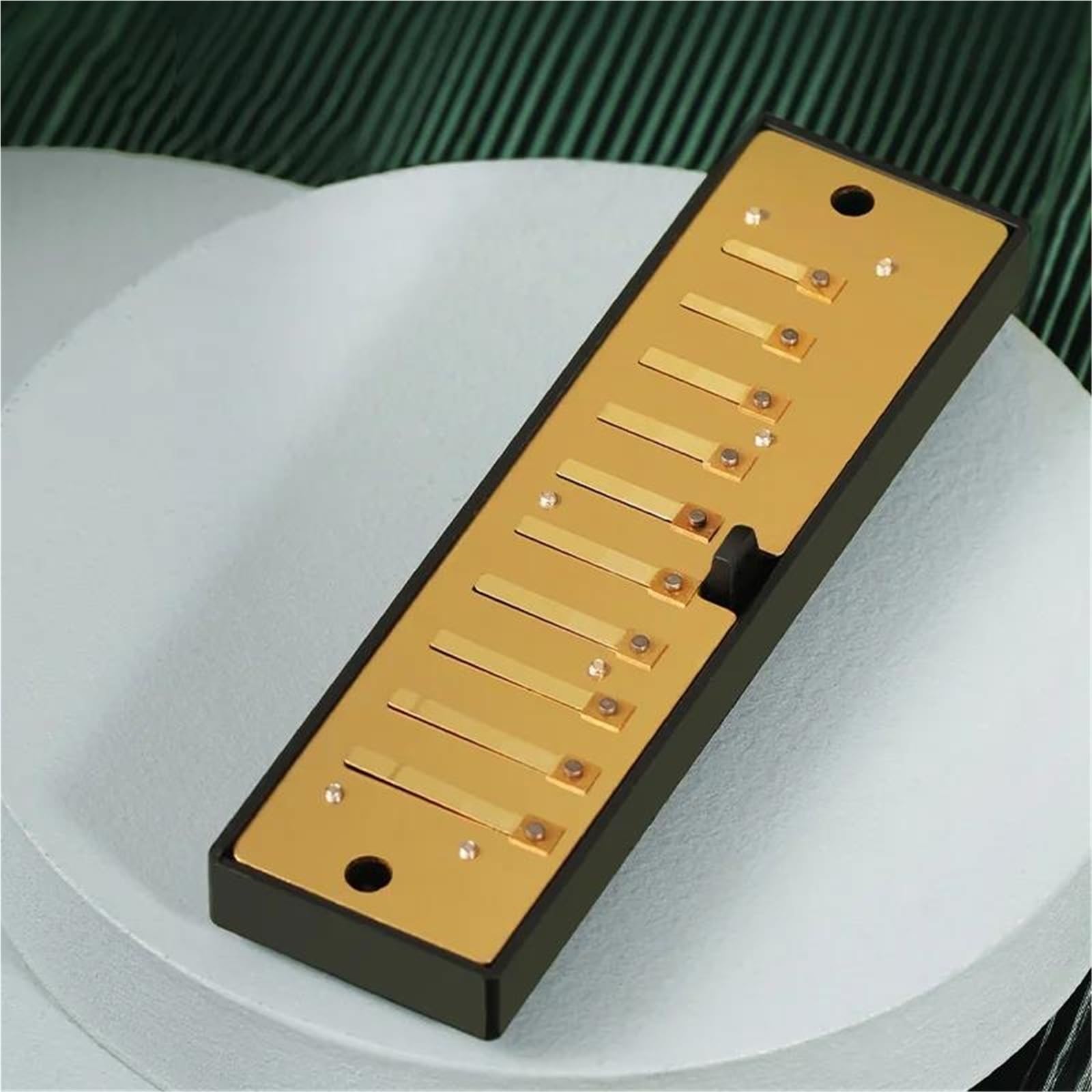 Armonica Blues A 10 Fori Per Principianti Introduttiva Tonalità Di Do Professionale(Black)