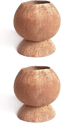 Rainforest Bowls Juego de 2 macetas de coco con pedestal con orificio de drenaje, perfectas para suculentas, flores, plantas pequeñas, jardines