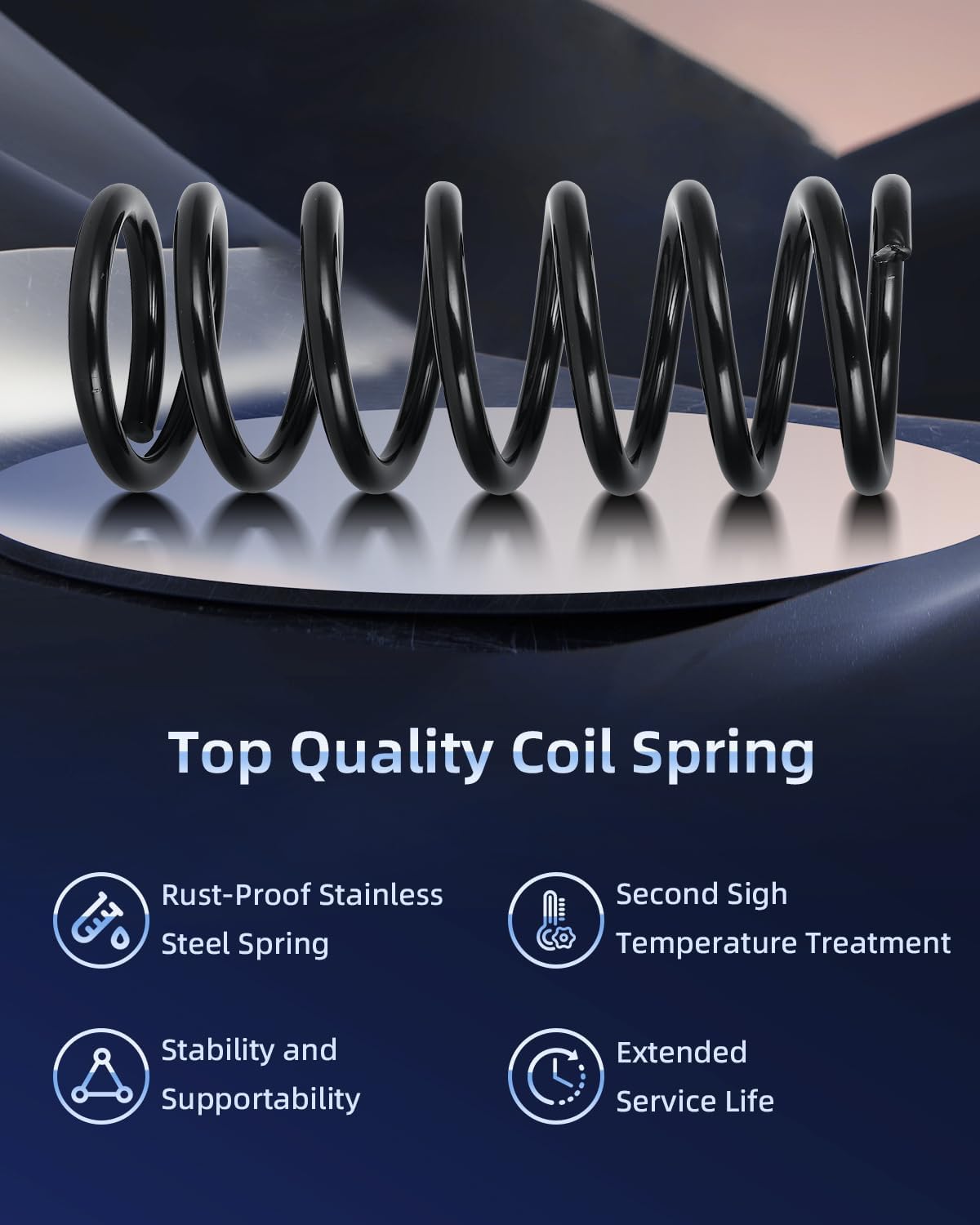 ECCPP 2PCS Rear Coil Springs Suspension Coil Spring Set 81393 21990357 21990358 for 2002 2003 2004 2005 2006 2007 for Saturn Vue