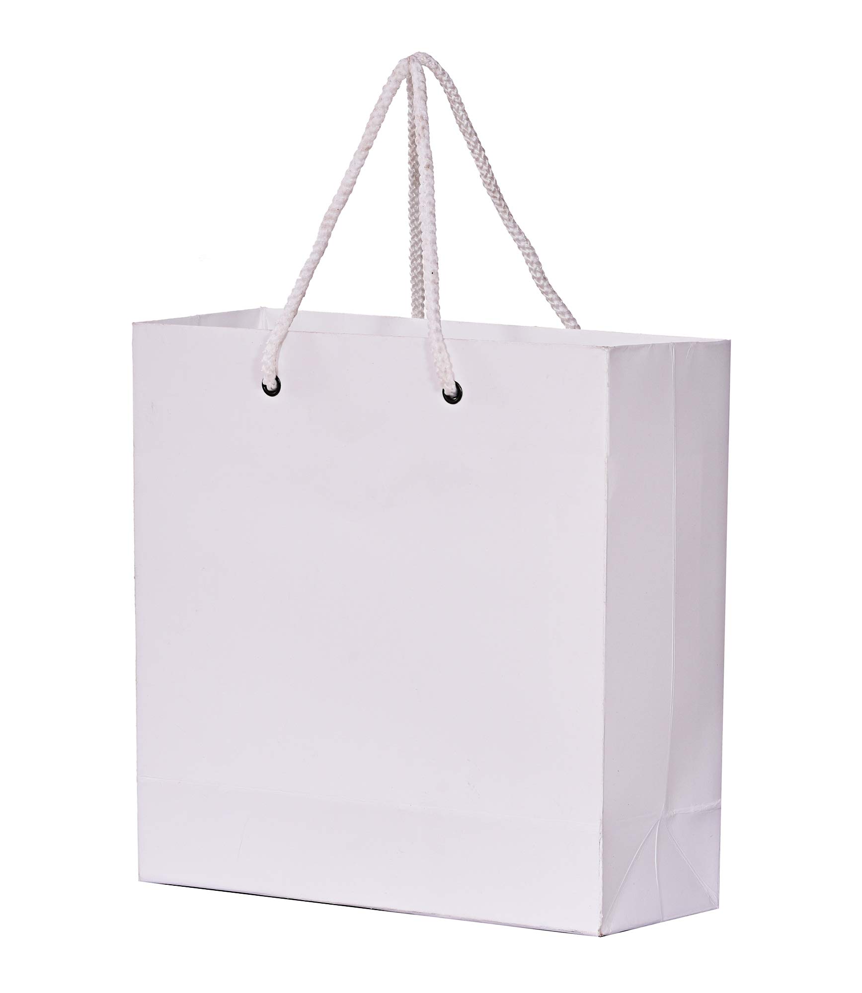PPJ ® - WHITE (30 Pcs.) (PLAIN) PAPER CARRY BAG, 8 Inch X 3 Inch X 8 Inch for DIWALI/WEDDING/FUNCTION/BIRTHDAY/RETURN GIFTS/CHRISTMAS (Pack of 30) (B09HC6VNJG) Amazon Price History, Amazon Price Tracker