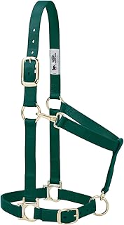 Weaver Leather Basic Adjustable Nylon Horse Halter, Hunter Green, 1" Small Horse