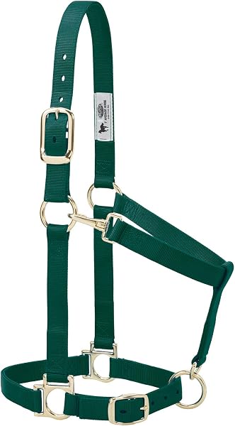 Weaver Leather licol réglable en nylon vert forêt