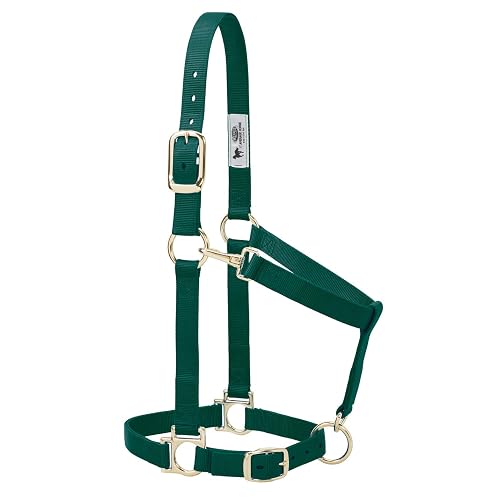 Weaver Leather Cabestro básico Ajustable de Nailon, Color Verde Cazador, Caballo Grande de 1 Pulgada
